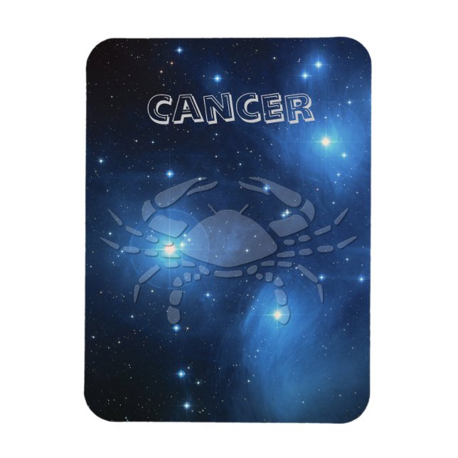 Transparent Cancer Magnet (Vertical)