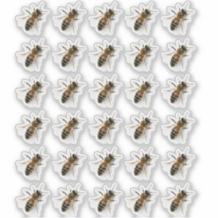 Transparent Crawling Honeybee Photo Sticker