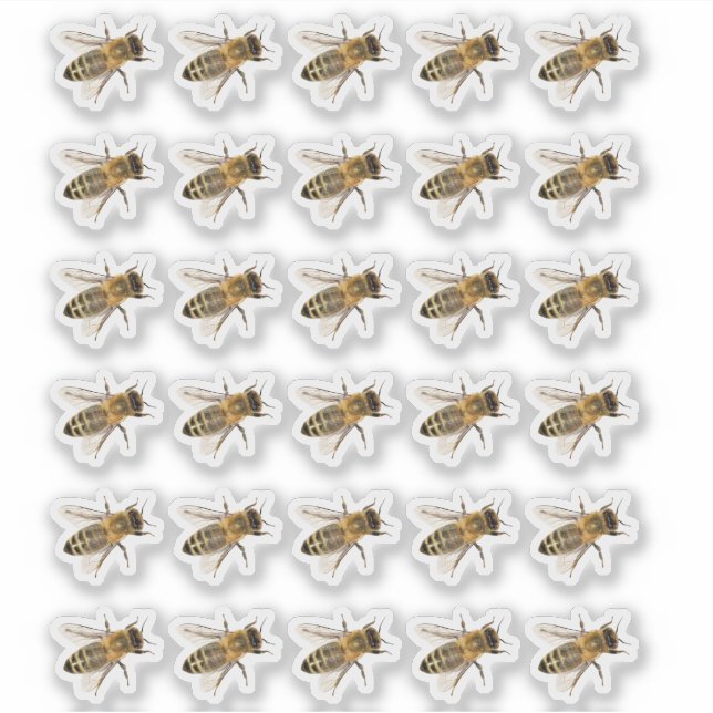 Transparent Crawling Honeybees Realistic Sticker (Front)