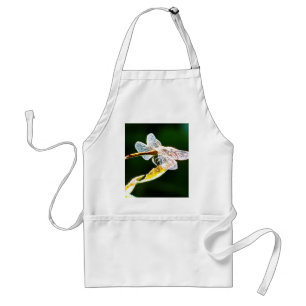 Transparent dragonfly standard apron