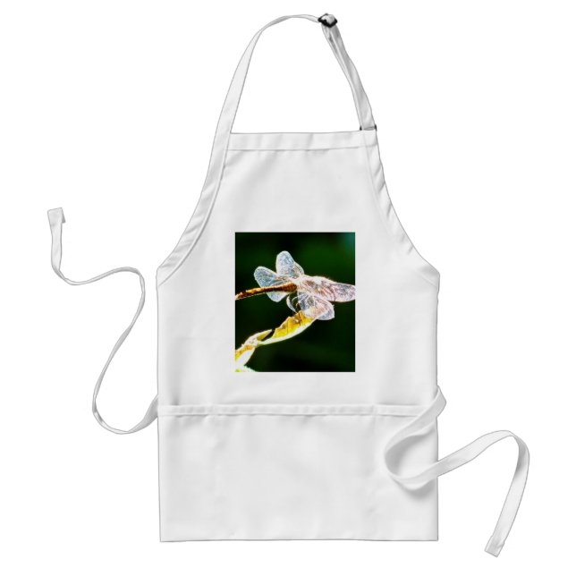 Transparent dragonfly standard apron (Front)
