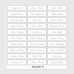 Transparent elegant traditional guest names sticke<br><div class="desc">Modern minimalist wedding guest names sticker with classic traditional serif font name,  simple and elegant. Can be used on place cards for wedding and any other event. Available in Clear and White.</div>