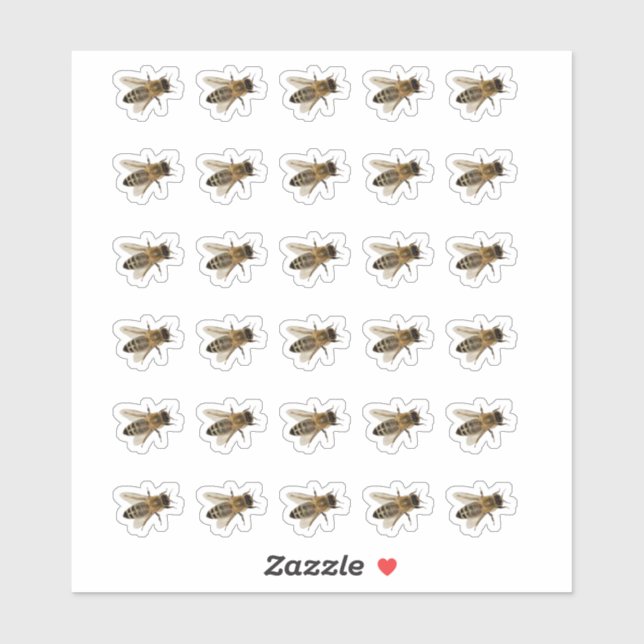 Transparent or White Honeybee Stickers  (Sheet)