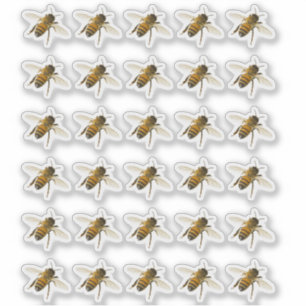 Transparent or White Realistic Honeybee in Flight 