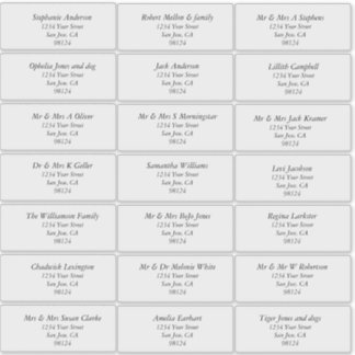 Transparent Plain Recipient Address Labels