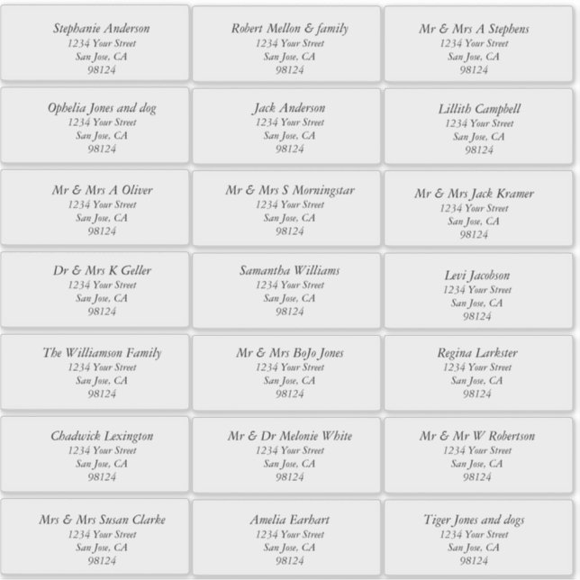 Transparent Plain Recipient Address Labels (Front)
