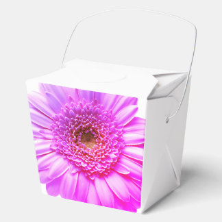 Transvaal daisy graphy Colour Flower Favour Box
