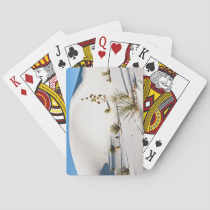 Transverse Dunes and Soaptree Yucca Playing Cards