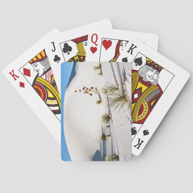 Transverse Dunes and Soaptree Yucca Playing Cards (Back)