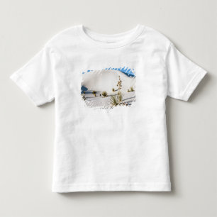Transverse Dunes and Soaptree Yucca Toddler T-Shirt
