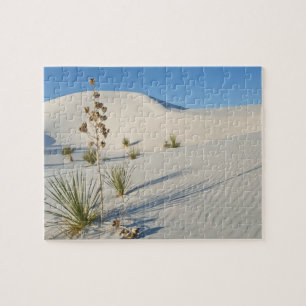 Transverse Dunes, Yucca, shadows Jigsaw Puzzle