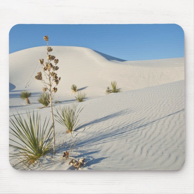 Transverse Dunes, Yucca, shadows Mouse Mat (Front)