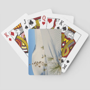 Transverse Dunes, Yucca, shadows Playing Cards