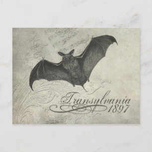 Transylvania 1897 Bat Collage Post Card Halloween