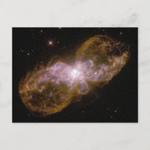 Trantula Nebula Postcard