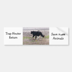 trap nueter return bumper sticker