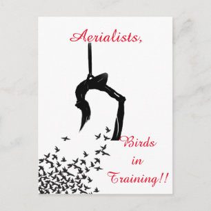 Trapeze Swing Aerialists Postcard