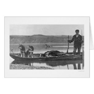 Trapper with Hides & Dogs Alaska 1906