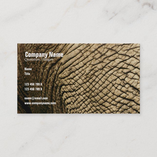 Travel agents, Safari tours, taxidermists, vets Business Card (Front)