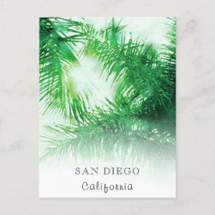 *~* Travel AP25 Personalise Tropical Palm Fronds Postcard
