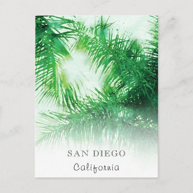 *~* Travel AP25 Personalise Tropical Palm Fronds Postcard (Front)