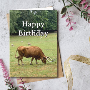 Travel Birthday Bull Sheep Farm Portugal Photo Card