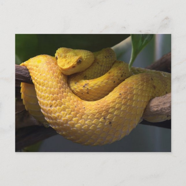 Travel collecting postcard 2 (Front)