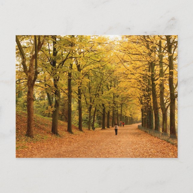 Travel collecting postcard 28 (Front)