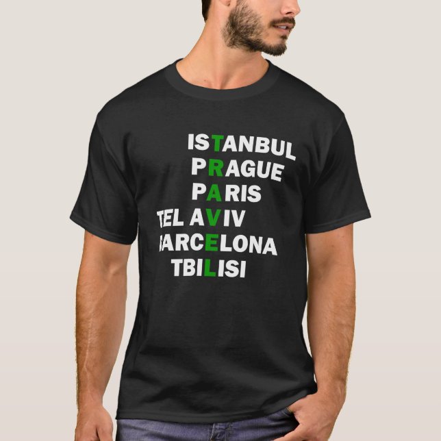 travel destinations T-Shirt (Front)
