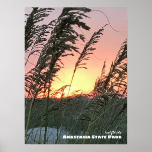 Travel Florida - Anastasia Sea Oat Sunset Poster