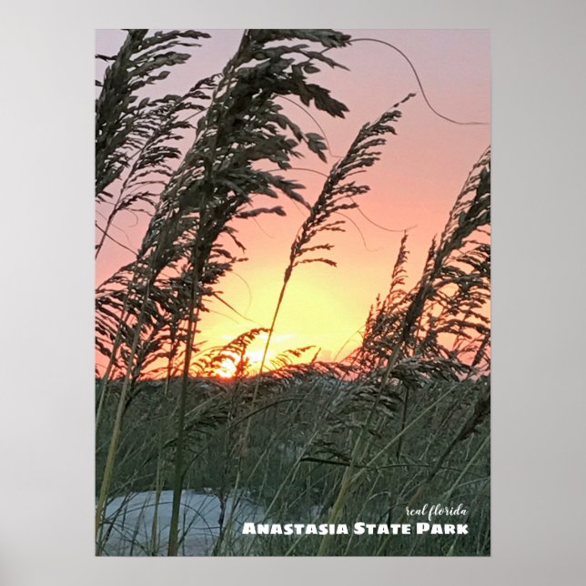 Travel | Florida - Anastasia Sea Oat Sunset Poster (Front)
