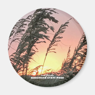 Travel   Florida -- Anastasia Sea Oats Magnet