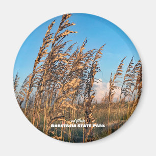 Travel   Florida - Anastasia St Park Sea Oats Magnet
