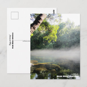 Travel   Florida - Blue Hole Springs Foggy Morning Postcard