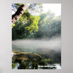 Travel   Florida - Blue Hole Springs Foggy Morning Poster