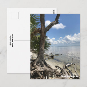Travel   Florida - Cape San Blas Beach Postcard