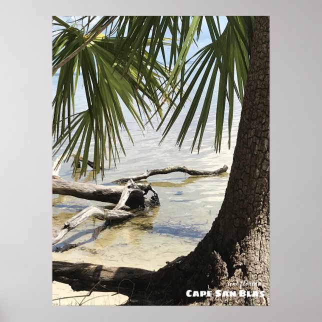 Travel | Florida - Cape San Blas Driftwood Poster (Front)