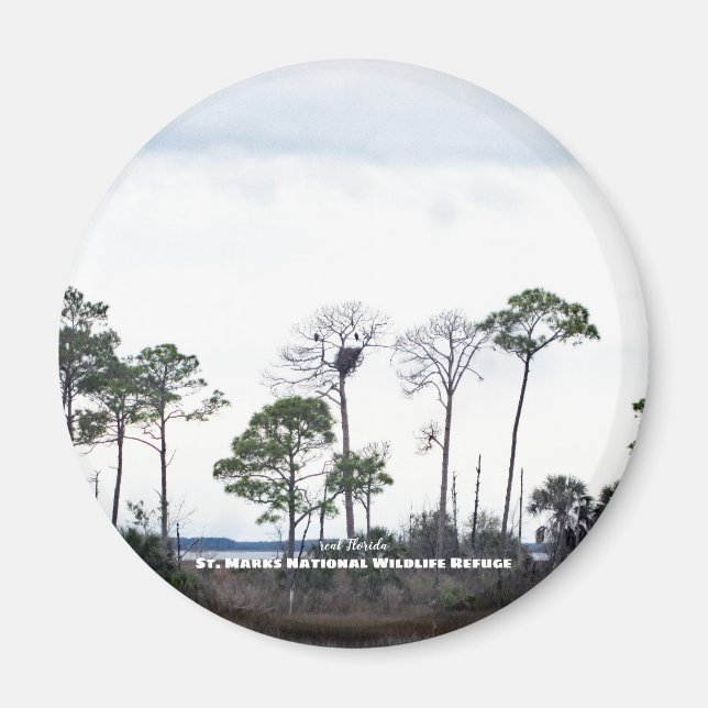 Travel | Florida - Eagles Nest Magnet (Front)