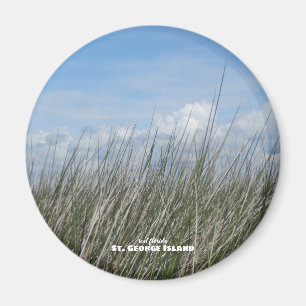 Travel   Florida - St. George Island Sea Grass Magnet