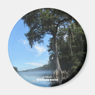 Travel Florida - Wacissa River Cypress Magnet