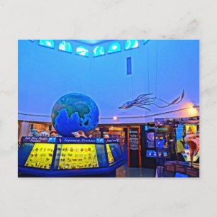 Travel Photography Sanibel Island Florida Shells Postcard