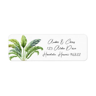 Travelers Palm Tree Tropical Green Boho