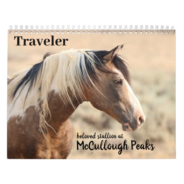 Traveller of McCullough Peaks Wild Horse Calendar (Cover)