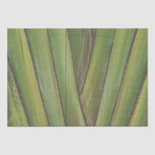 Traveller Palm Tissue Paper