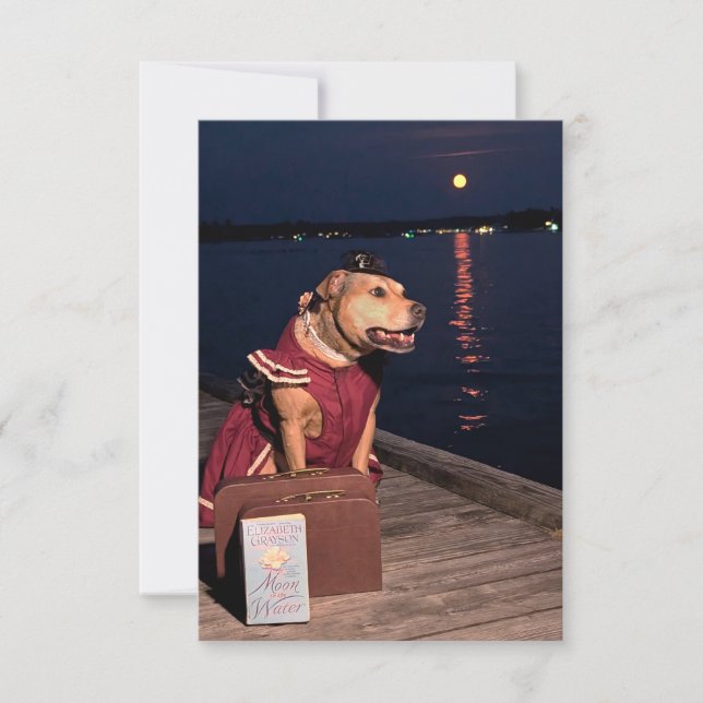 Traveller Sailor Dog funny costume book notecard (Front)