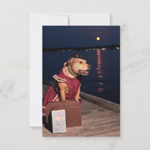 Traveller Sailor Dog funny costume book notecard