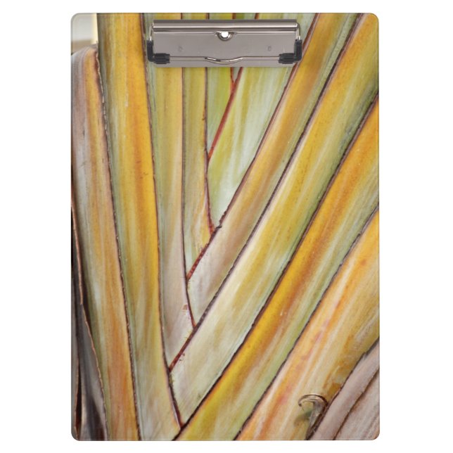 Travellers Tree Clipboard (Front)