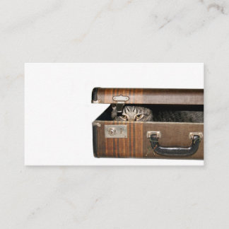 Travelling cat business card