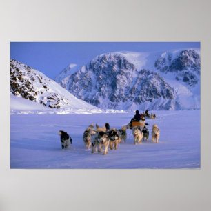 Travelling, Ellesmere Island Poster