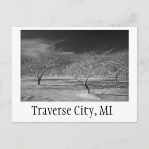 Traverse City Cherry Orchard Postcard